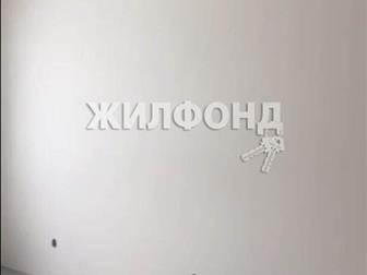 1 ,    ,   1-,   : 28, 90 , ,  
 
   !  ,  
  VSN,  (-  ) ,    