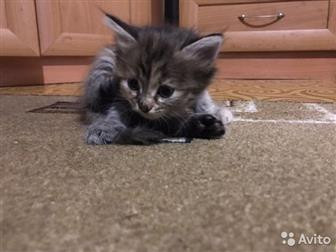     ,      ,   4 ,          ,    ,  ,     