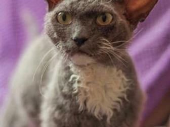  -   !    !  ,      , , , , ?    ,  