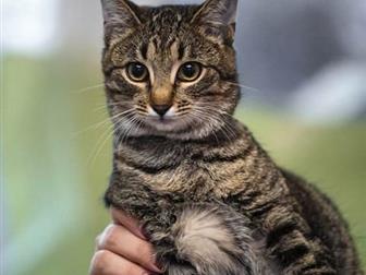        ??,    8 ,  , , ,  ,     ,   