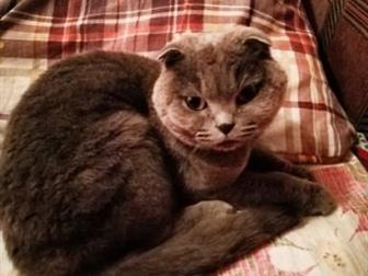      (),     ,         (    ,        