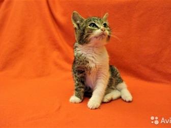   ,    ,    ,      ,      ,  