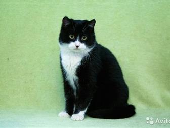     !    !   ,      ,     ! 7,  