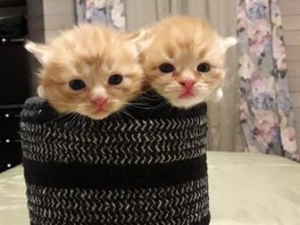 , , ,       ,  , , , ,   ?     ,     