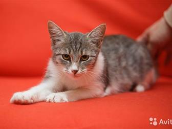          7 ,       ,    ,    ,     