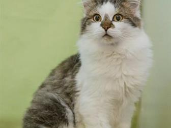   !        -! , ,     ,    ,  