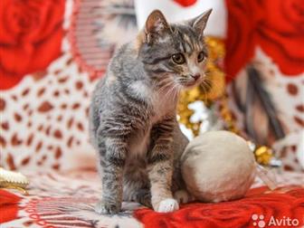  -    - , !)  ) 5 ,,  )   ,    ,  