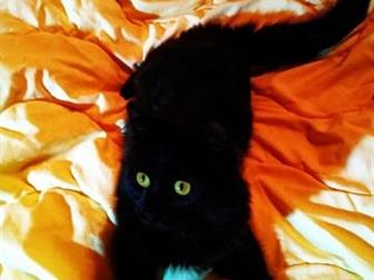       ,  6 ,    ,   ,    ,  