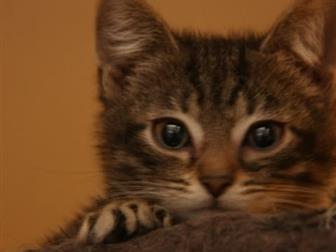 ??      ??  ,   2, 5 !   ,  ,  ,     