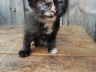  6 ,   ,  , ,   ,     !  