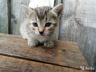  6 ,   ,  , ,   ,     !  