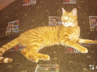   ,   !    ,    , ,   ,   ,    