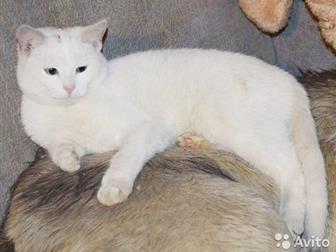     ,   !   ,     ,     ,   ,   