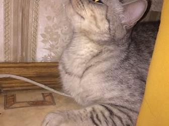     , , ,     ,   ,      ,        ,  