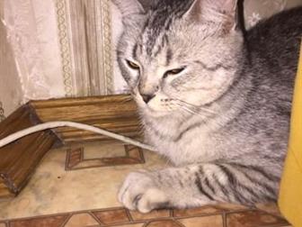     , , ,     ,   ,      ,        ,  