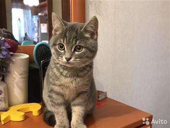   ,     !    4,5, , ,     ,    ,       