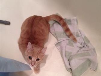    !    ,        ,   6 , , ,  ,  