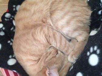    !    ,        ,   6 , , ,  ,  