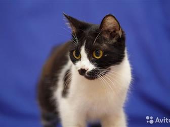     ,         ,     ,  , , ,  