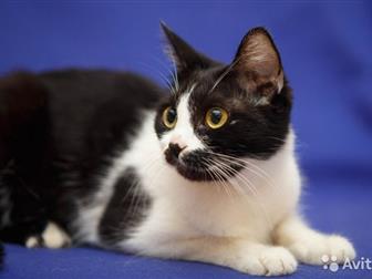     ,         ,     ,  , , ,  