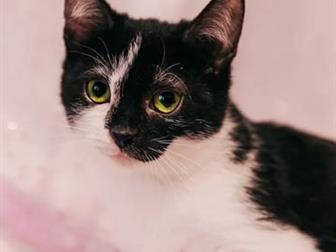    ,   ,    ,  , ,    ,  ,    5,  