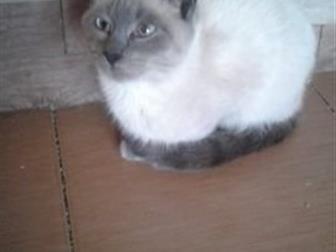   ,   5 ,     ,     ,  , , ,  ,     ,  