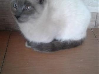   ,   5 ,     ,     ,  , , ,  ,     ,  