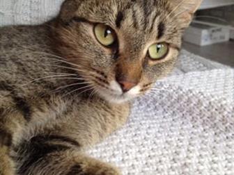   ,   1 ,   , ,   ,     ,  