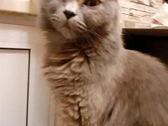      ,   ,,  ,  , ,  ,      ,   