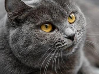        , , ,      ,  -    ! -   