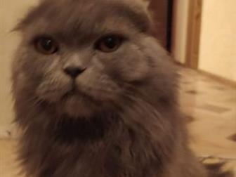      ,    ,    , ,       ,  