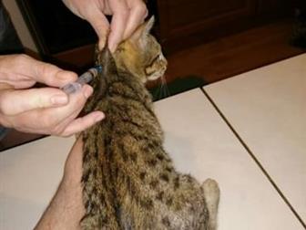 ,     ,   -12 ,     ,   ,      ,    ,   