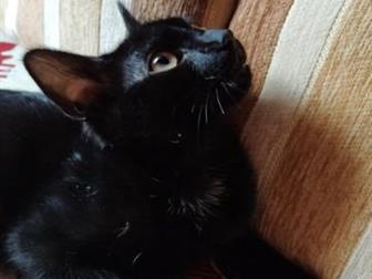 , , ,  , - -    ,     ,  