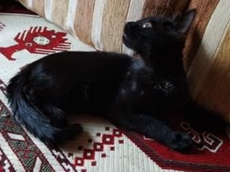 , , ,  , - -    ,     ,  