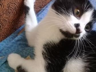  ,    !!!!,   , , , , , , , ,            !!!!!,  