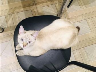        ,   6 ,   , ,  ,  ,     ,  ,    ,  