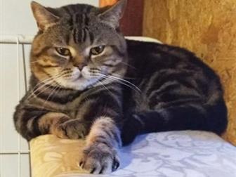    ,   ,   ,  ,     !!    , , ,  