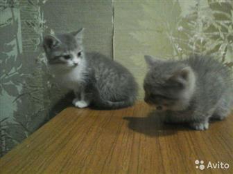   2  ,  ,      ,   ,     ,  