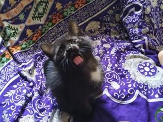      !  ,    ,   - , , ,   ,     