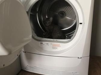       4 ,   ,      ,  