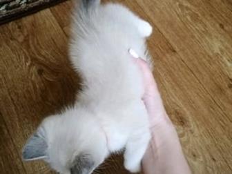     !          ,    ,       ,  