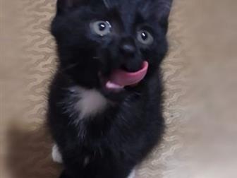  2 ,  ,     ,    