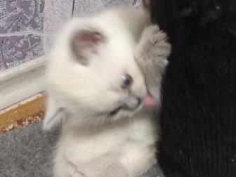   ,  , ,  25, 08,   , ,   ,    ,  ! !  ,  ,   ,  