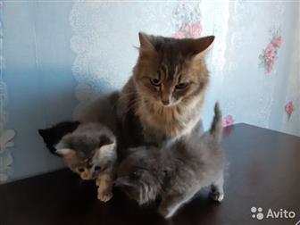  ,           ,            !!!  