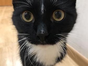      ,    ,     , , ,  ,       7 ,  
