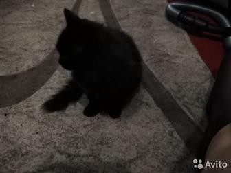      ,   6 ,    ,   ,   ,   ,     ,  