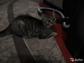     ,   6 ,    ,   ,   ,   ,     ,  