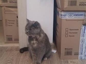     ,  , , ,    ,   ,    ,   ,  