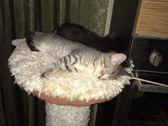  ,    3 ,         ,    ,   ,   - !  !    