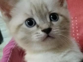 ,      ,  